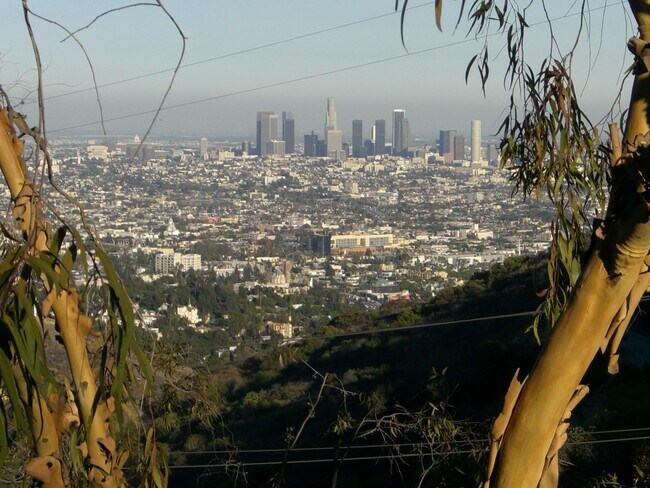 Building Photo - 7020 Pacific View Dr