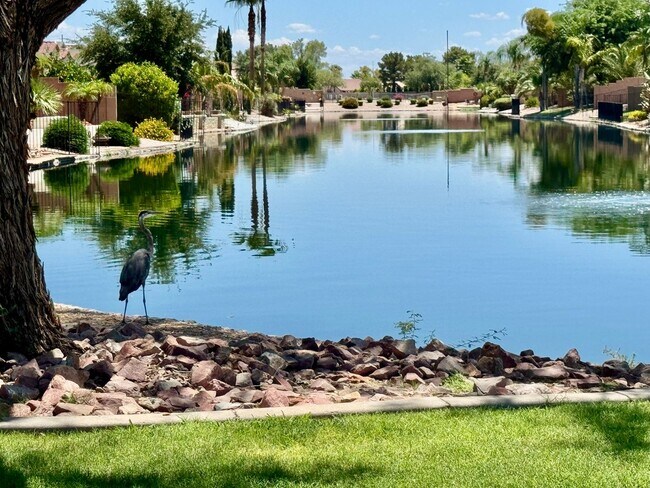 Building Photo - Pristine Single Level 3 Bedroom Home In The Sought After Gated Lagos Vistoso Community in Chandler!