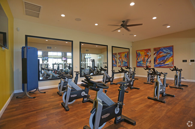 Fitness Center - San Piedra