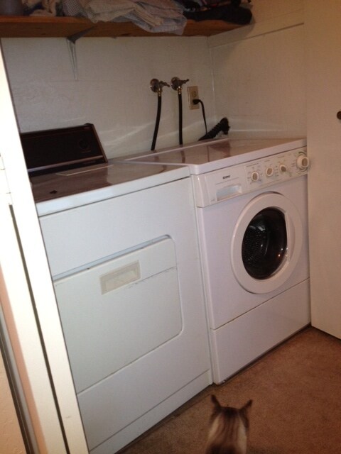 Building Photo - 1441 Lincoln Ave