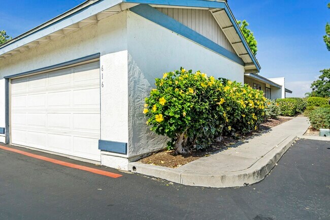 Building Photo - 616 Kumquat Way