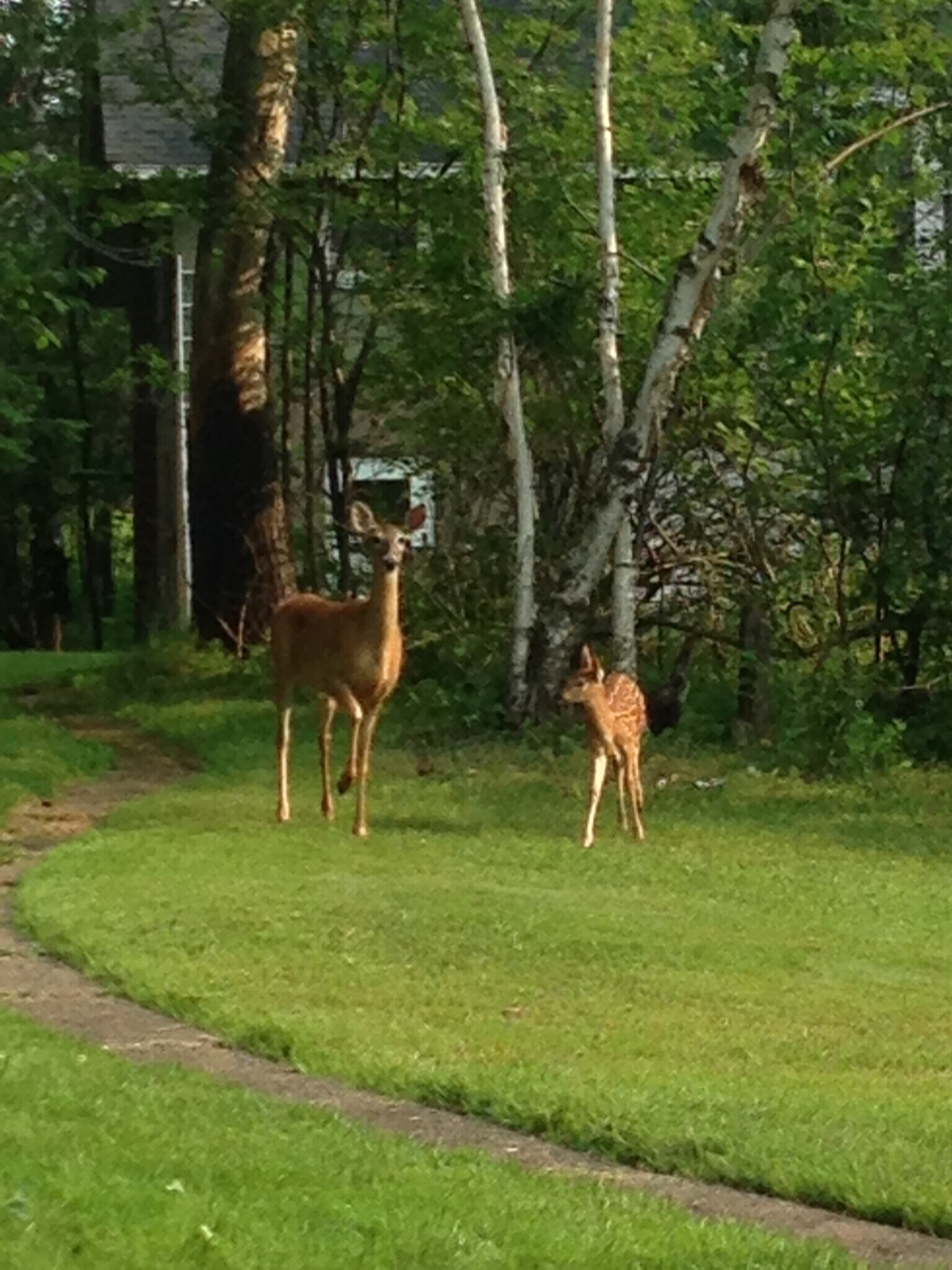 Building Photo - 3901 Greysolon Rd