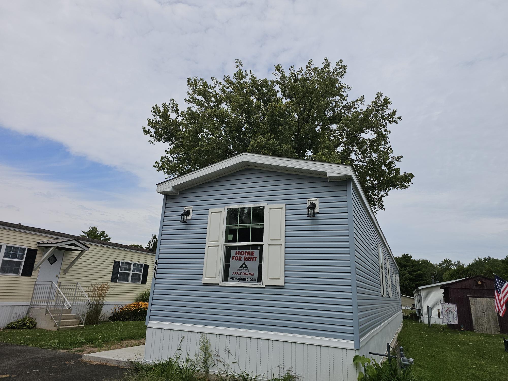 Building Photo - 441 Tulip Dr
