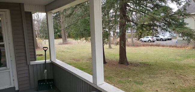 Side yard - 908 Tulip St