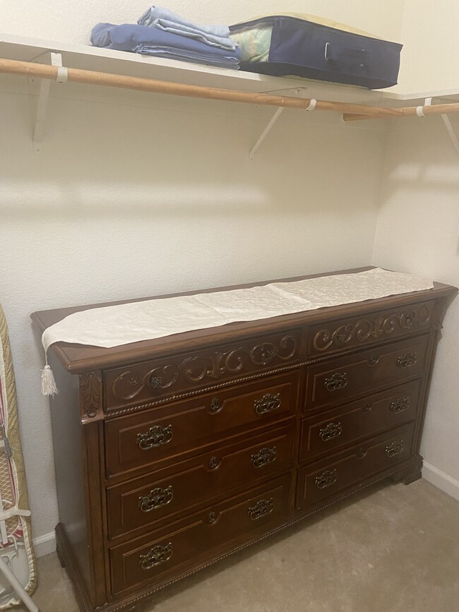 chest drawer in the walk in closet - 8113 Laguna Brook Way