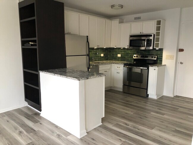 Building Photo - 1360 N Sandburg Terrace