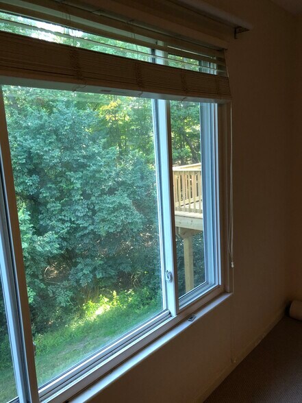 View from Master Bedroom - 11117 Jardin Pl