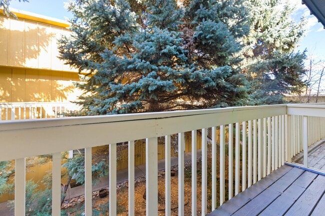 Building Photo - 1615 Cottonwood Dr