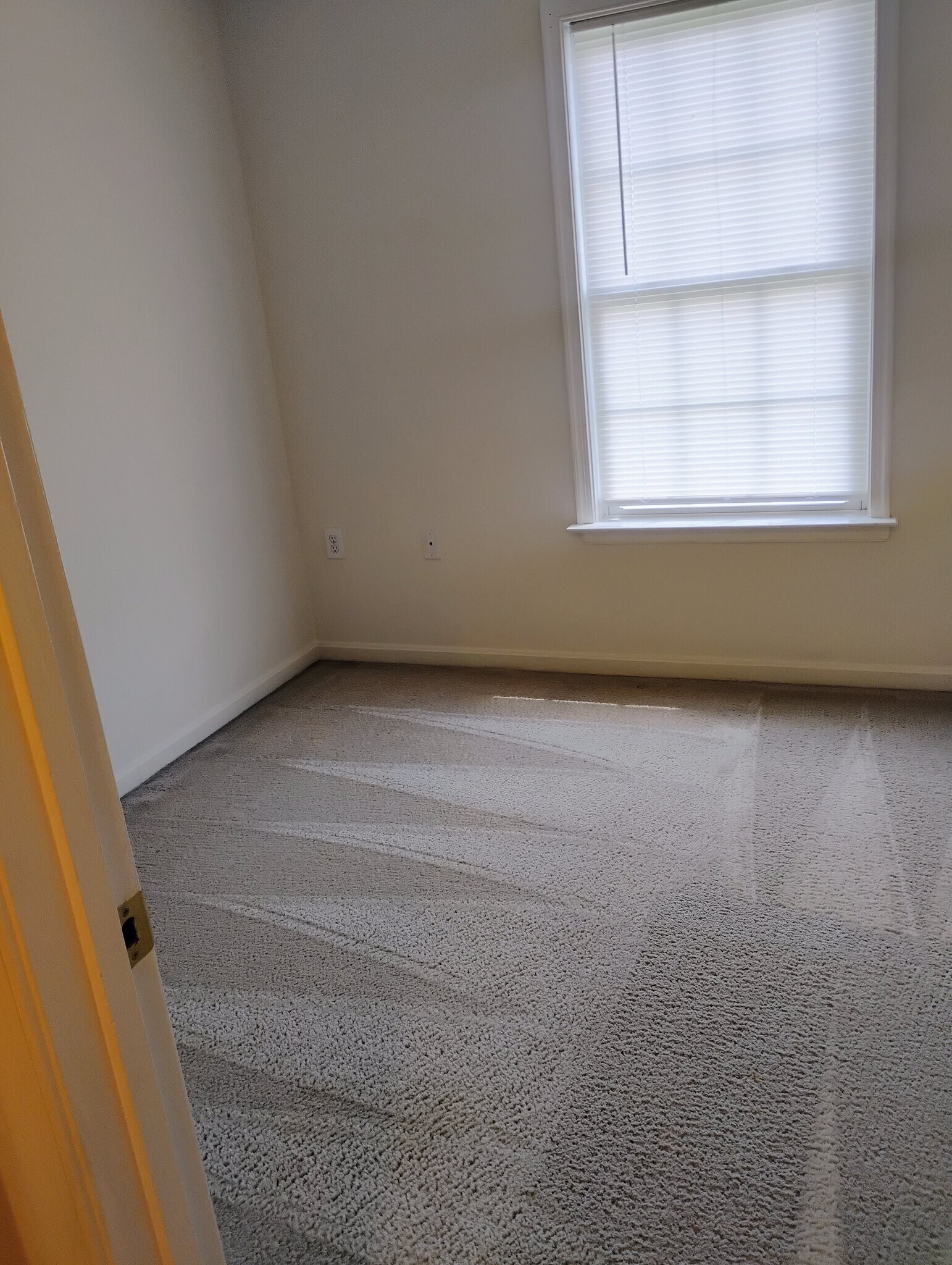 Building Photo - 8 Mabel Ln
