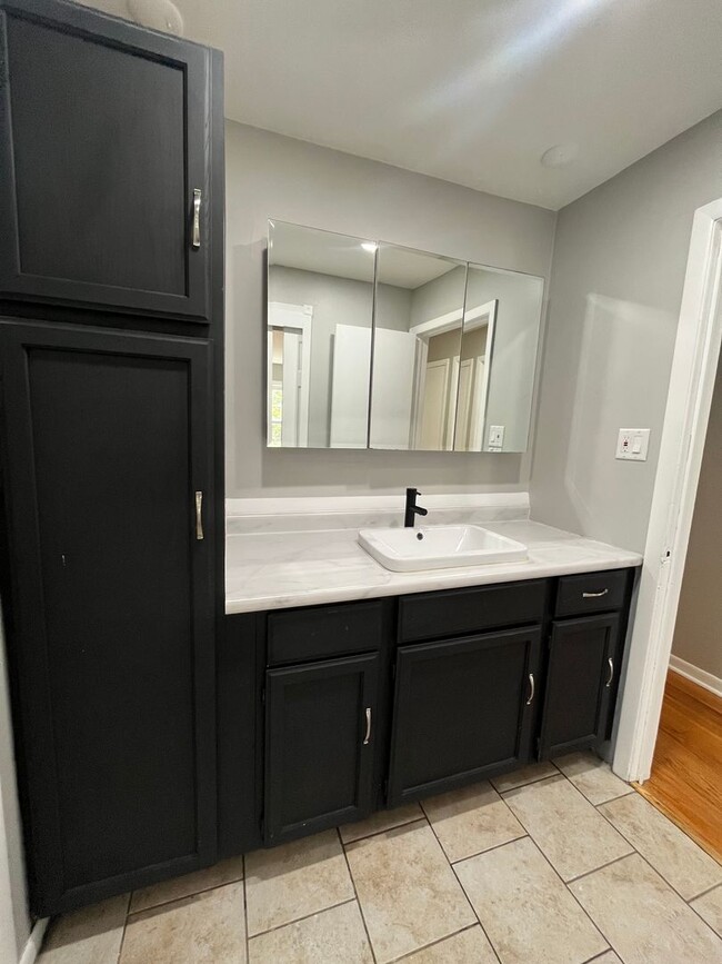 Building Photo - 4 Bedroom House Now Available in Tinley Pa...