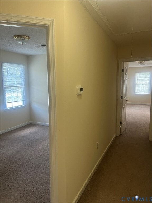 Building Photo - 4508 Wood Ln