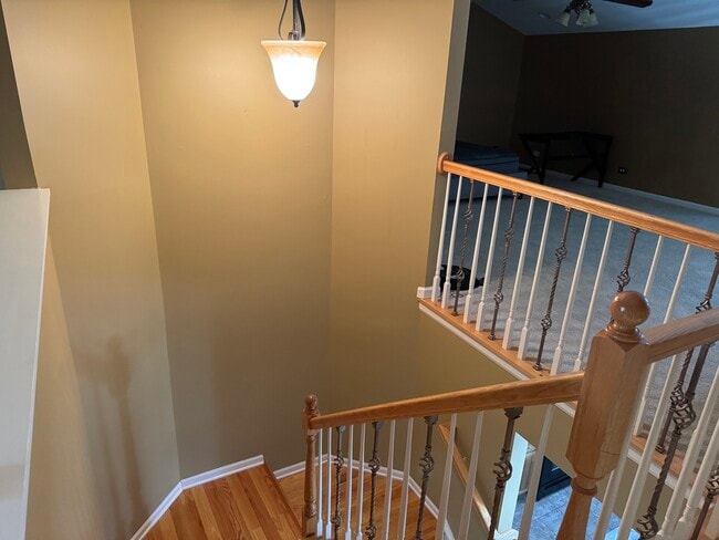 Building Photo - 916 Bluebell Cir