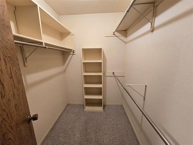 Building Photo - 2204 Shady Park Dr