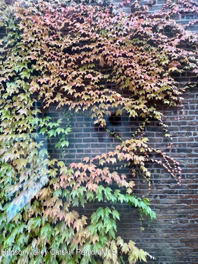 Building Photo - 202 Warren St