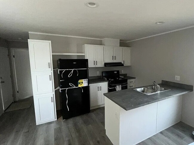 Building Photo - brand new 3 bedroom, 2 bathroom home