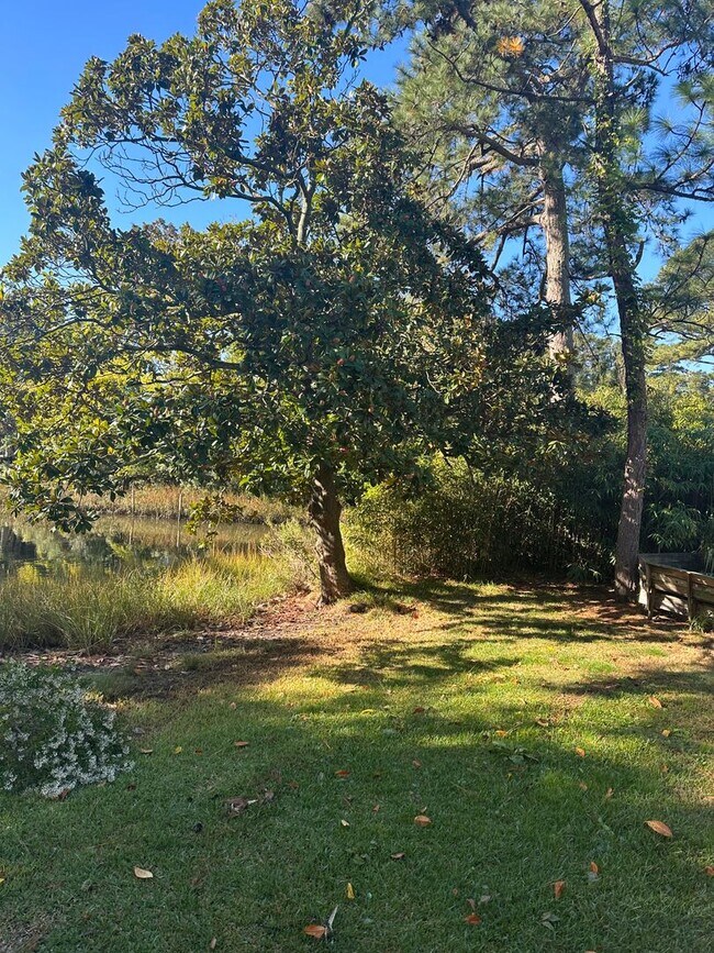 Building Photo - Ingleside