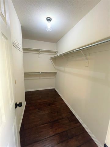 Building Photo - 2509 Heads And Tails Ln