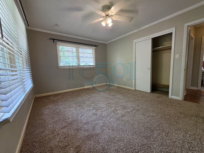 Building Photo - **Stunning New Rental Opportunity in Park Hill!**