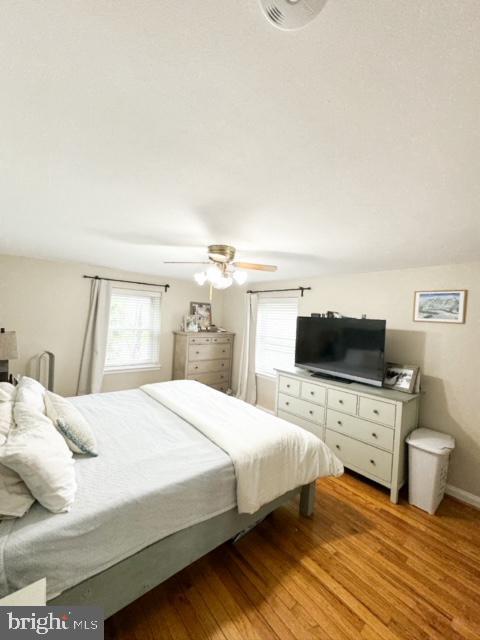 Building Photo - 235 Rodney Cir