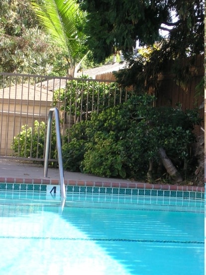 Pool - The Carseka