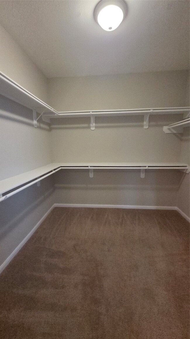 Building Photo - 25907 Azure Rock Ln