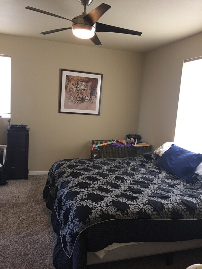 Building Photo - Beautiful 3 Bed/2.5 Bath Home in Loveland