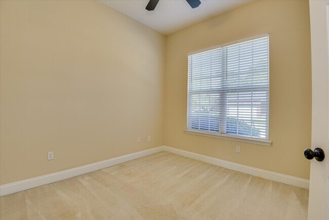Building Photo - 2436 River Birch Dr
