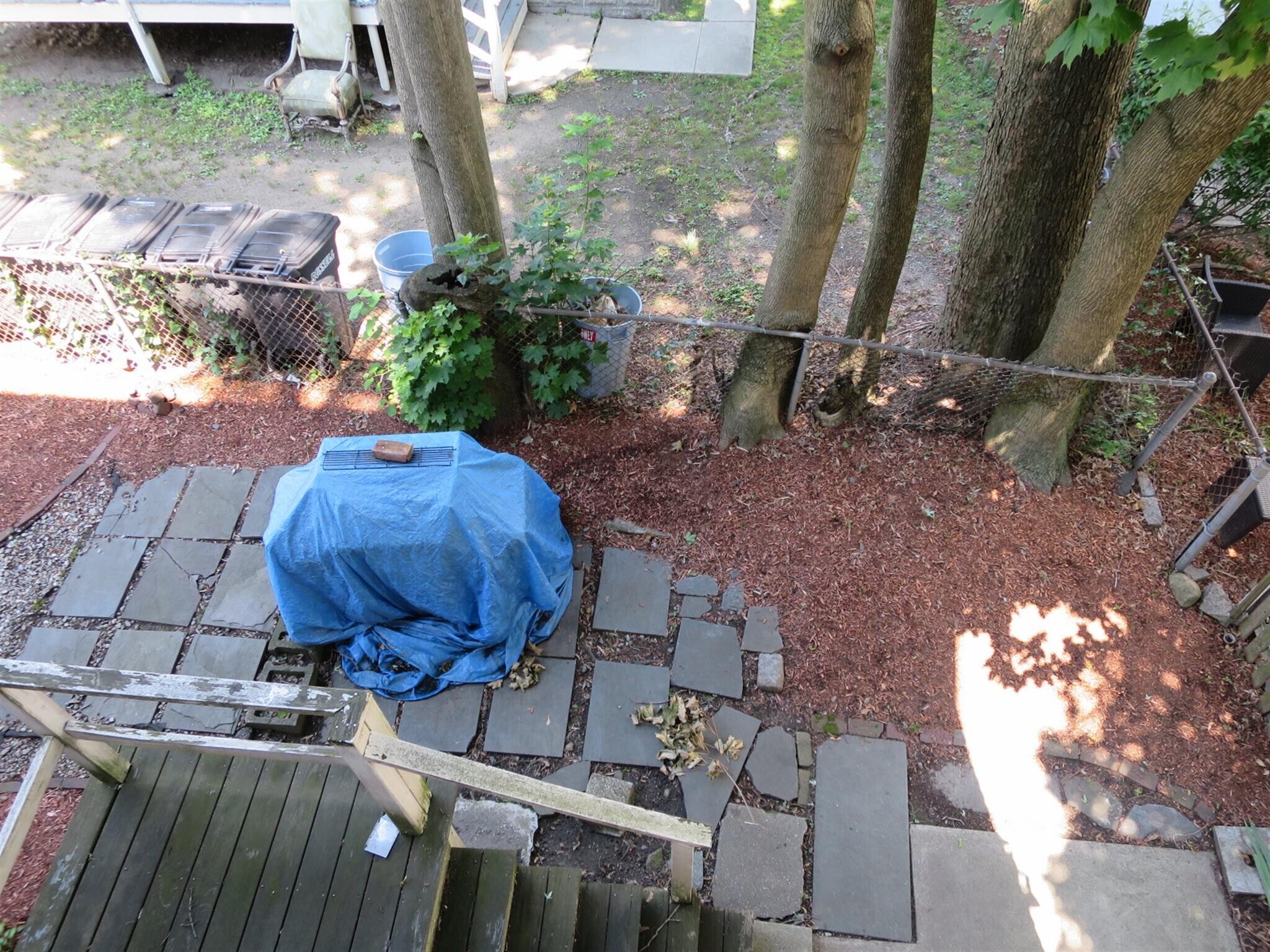 Building Photo - 3 Harris St