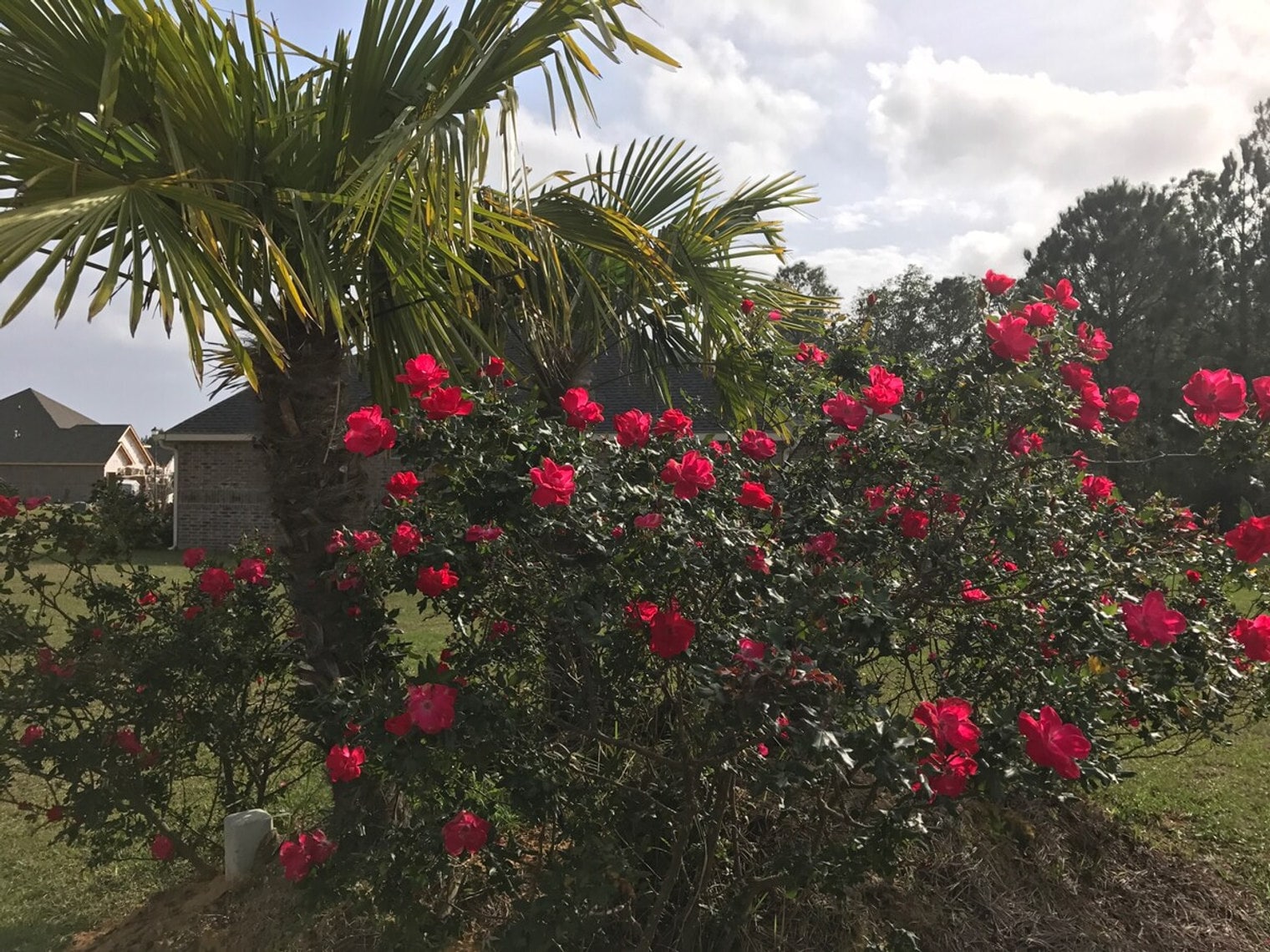 Building Photo - 15076 Audubon Lake Blvd