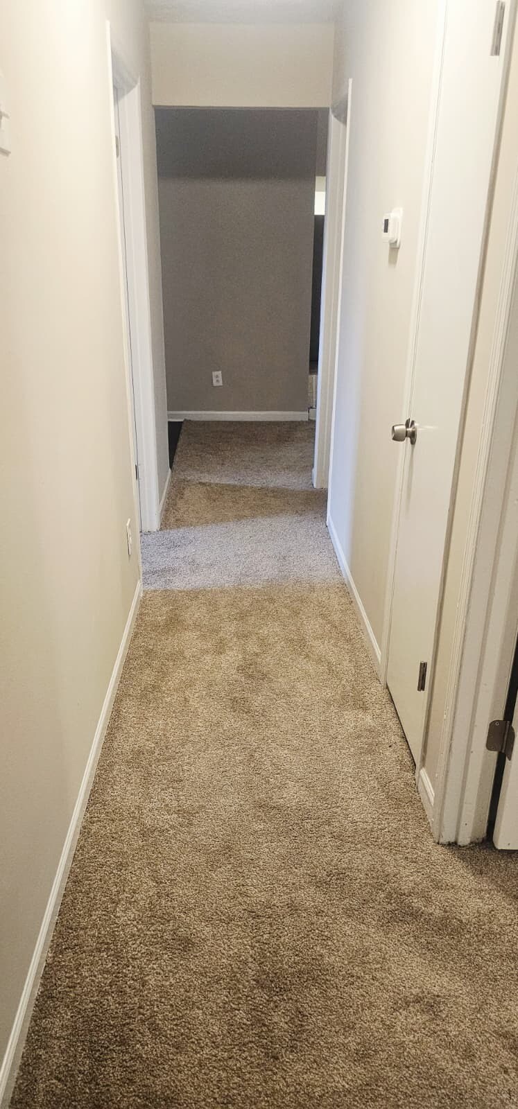 Hall way - 1904 Cades Cv
