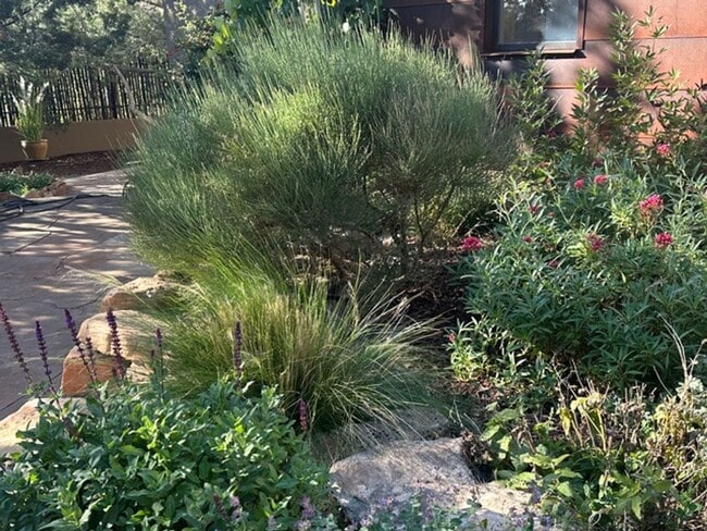 Building Photo - Turnkey Northside Casita in a Garden Setting