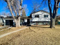 Building Photo - Newly Renovated 4 Bed 2 Bath House Near CSU!