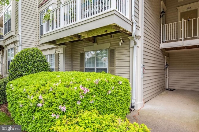 Building Photo - 8202 Catbird Cir