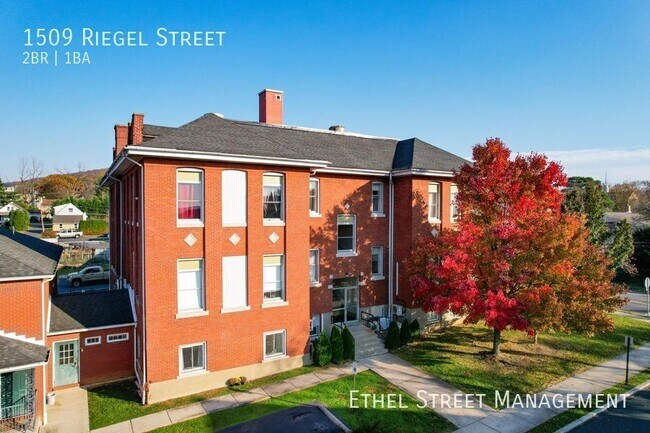 Building Photo - 1509 Riegel St