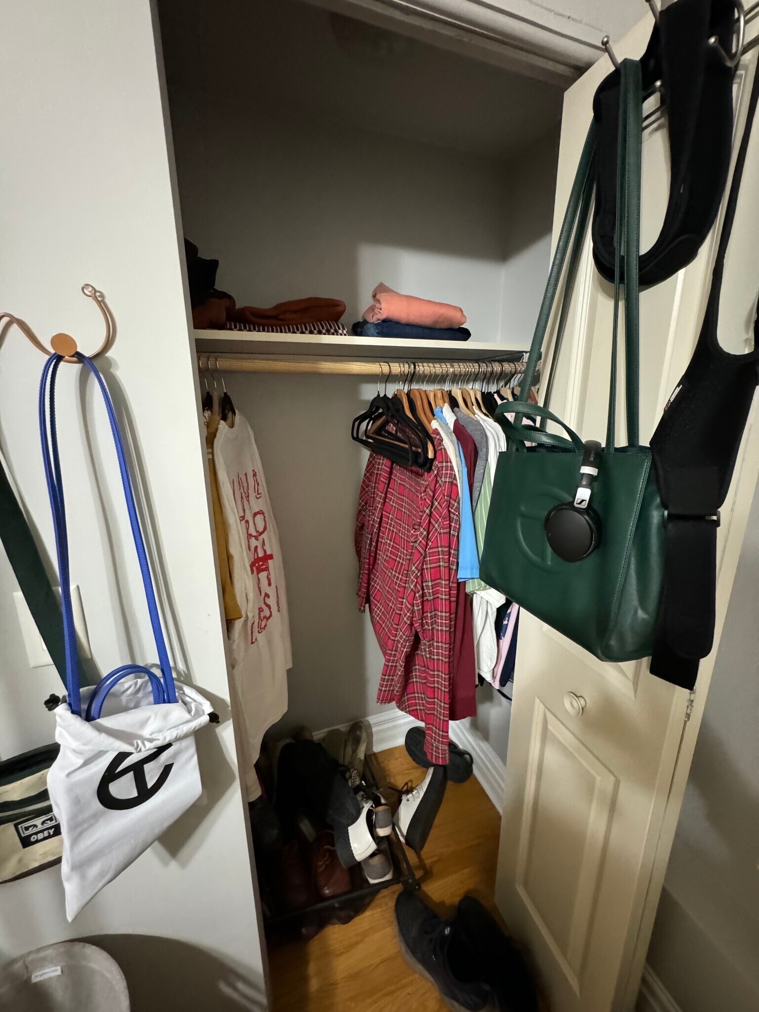 Closets have shelves and bar to hang clothes - 3925 W Altgeld St