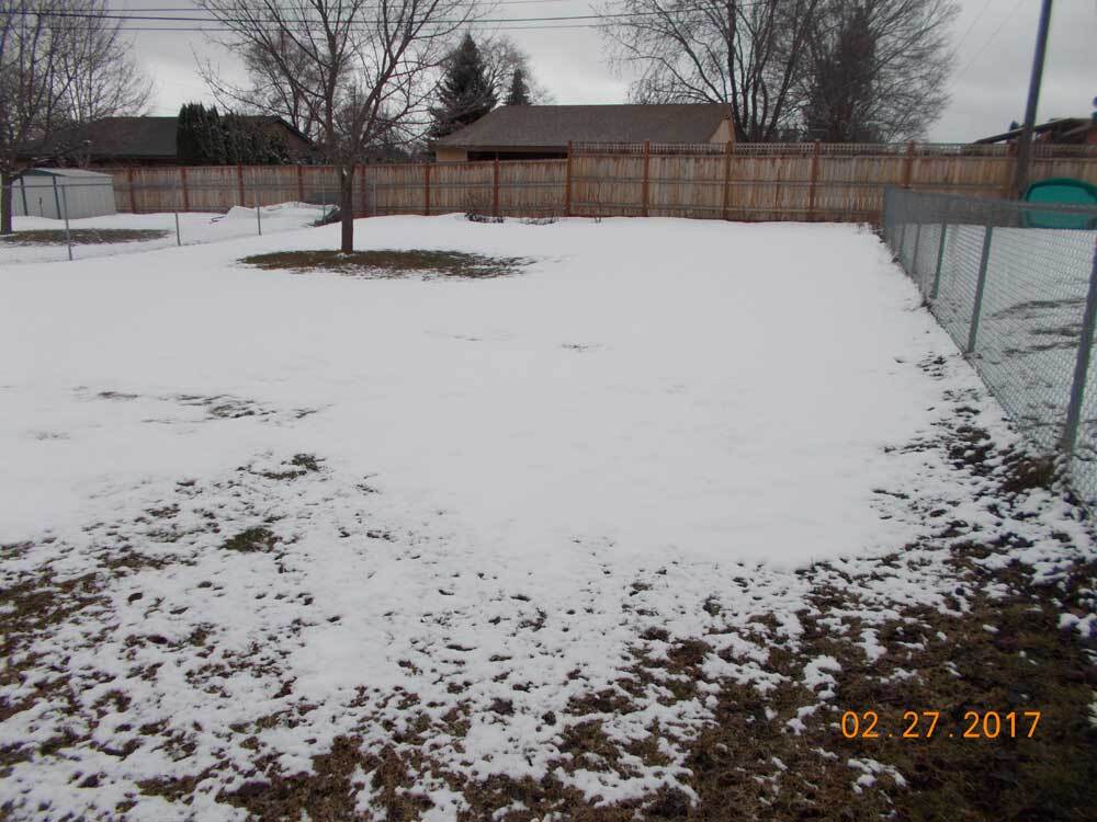 Back yard - 12202 E 10th Ave