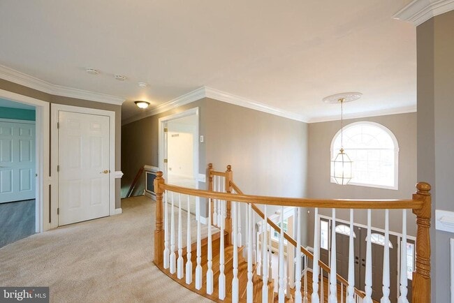 Building Photo - 1401 Hampstead Ct