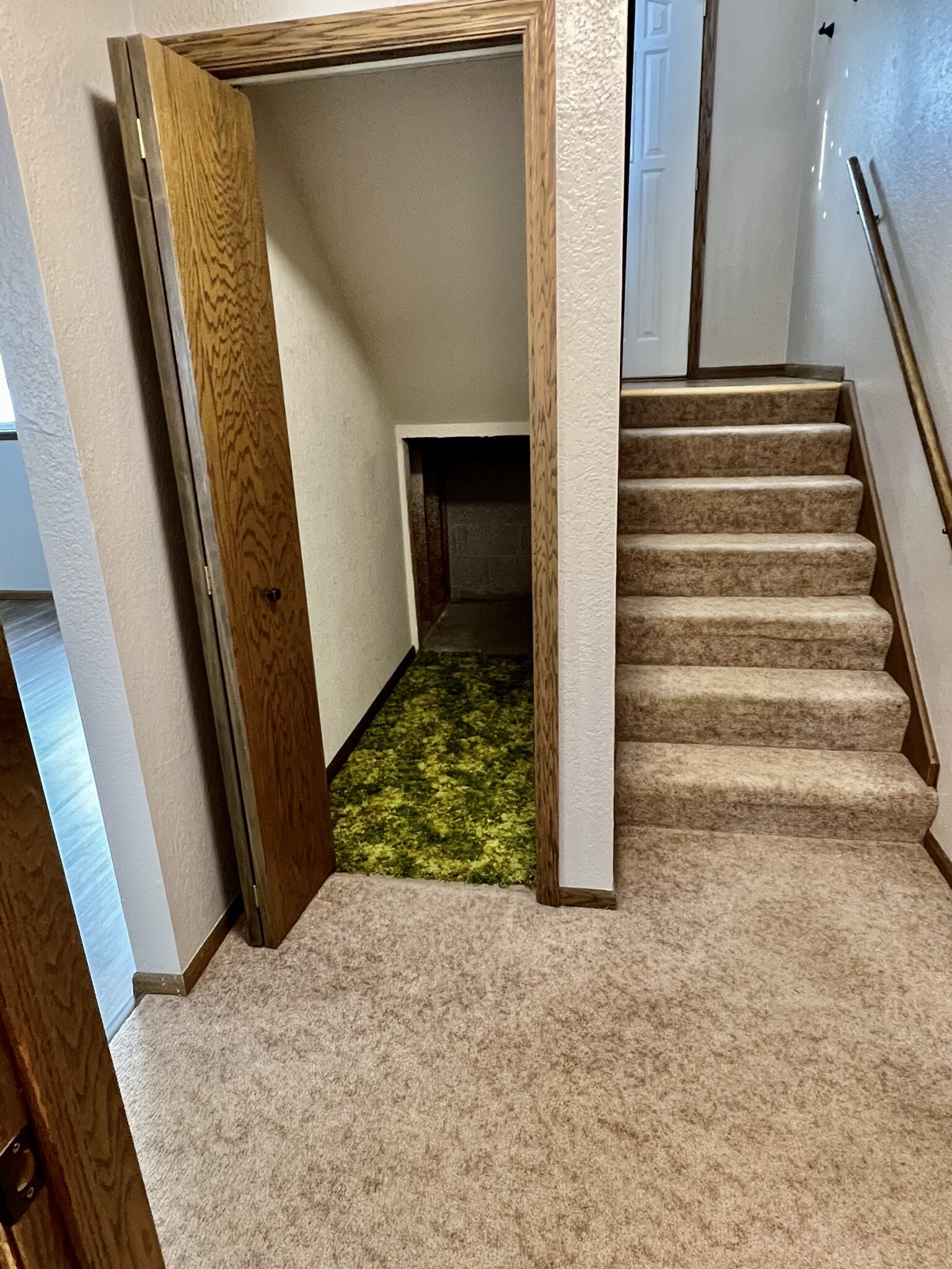 ample storage under stairs - 1428 12th Ave N