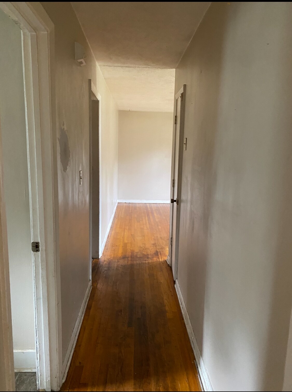 Building Photo - 6165 Timberland Dr
