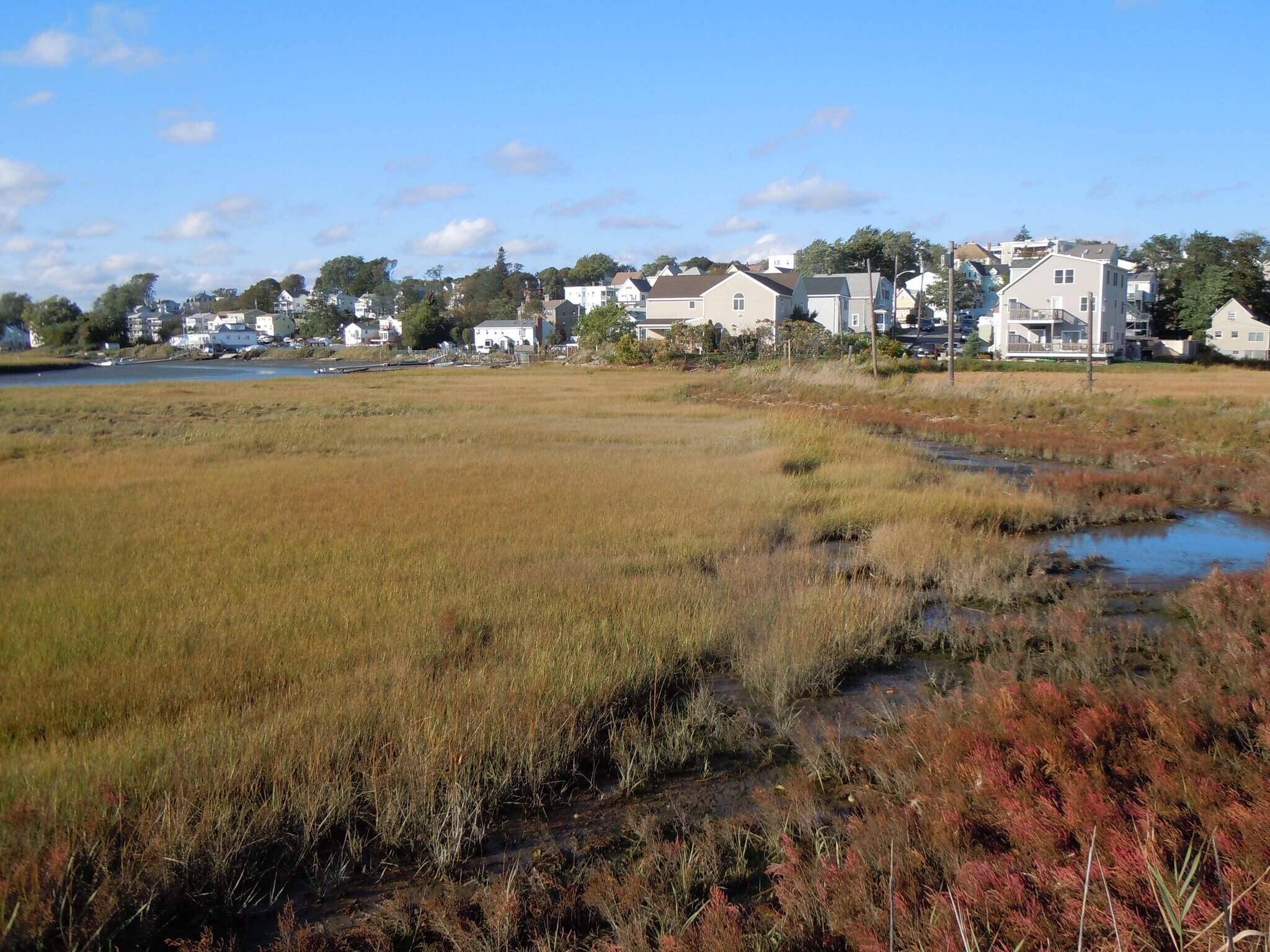our home in center seen from marsh nature trail - 103 Summer St