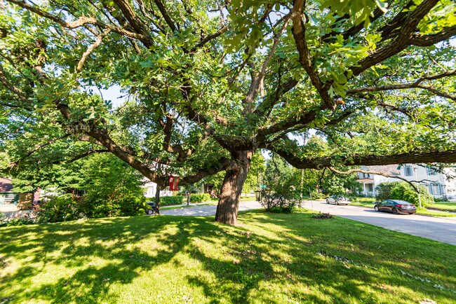 Building Photo - 700 24th Ave SE