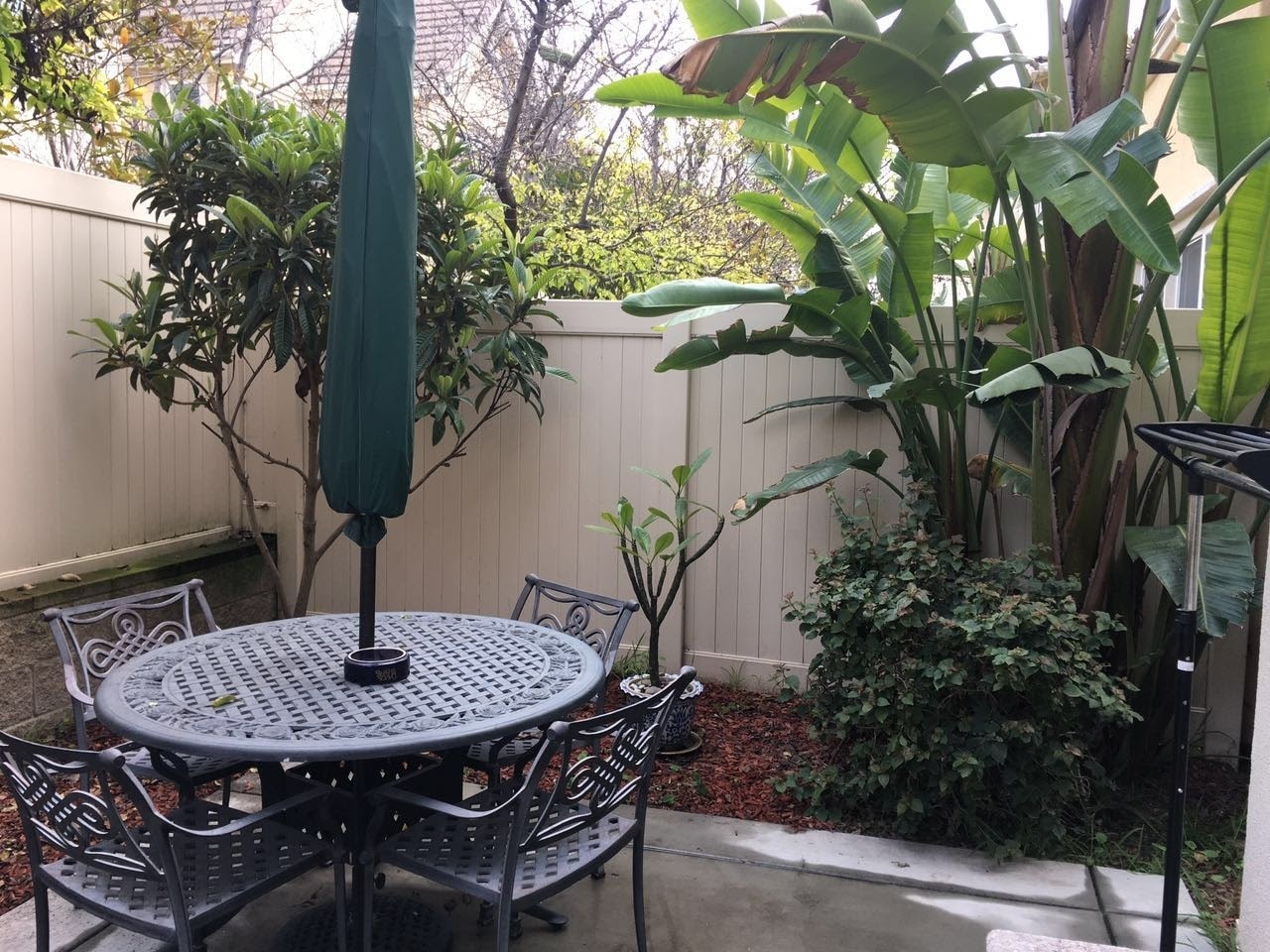 yard - 14575 Baylor Ave