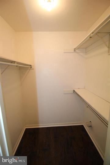 Building Photo - 681 Rose Hollow Dr