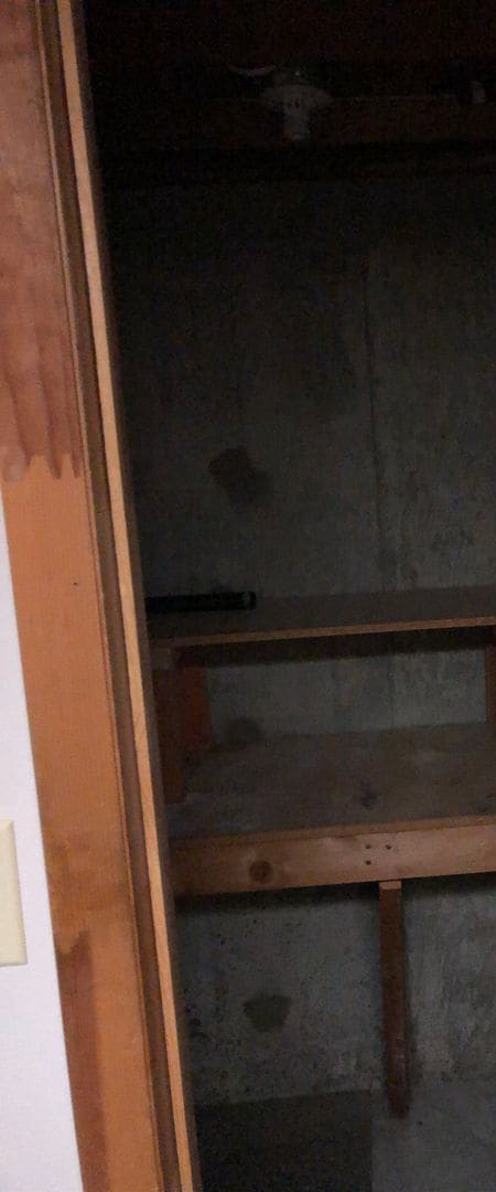 Building Photo - 3 Bed 2 Bath Single Family Home with Additional Space in Basement!