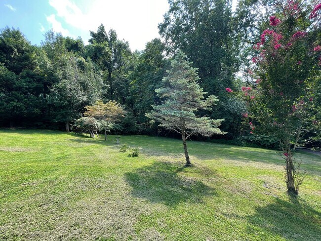 Building Photo - 26 Cannon Bluff Dr
