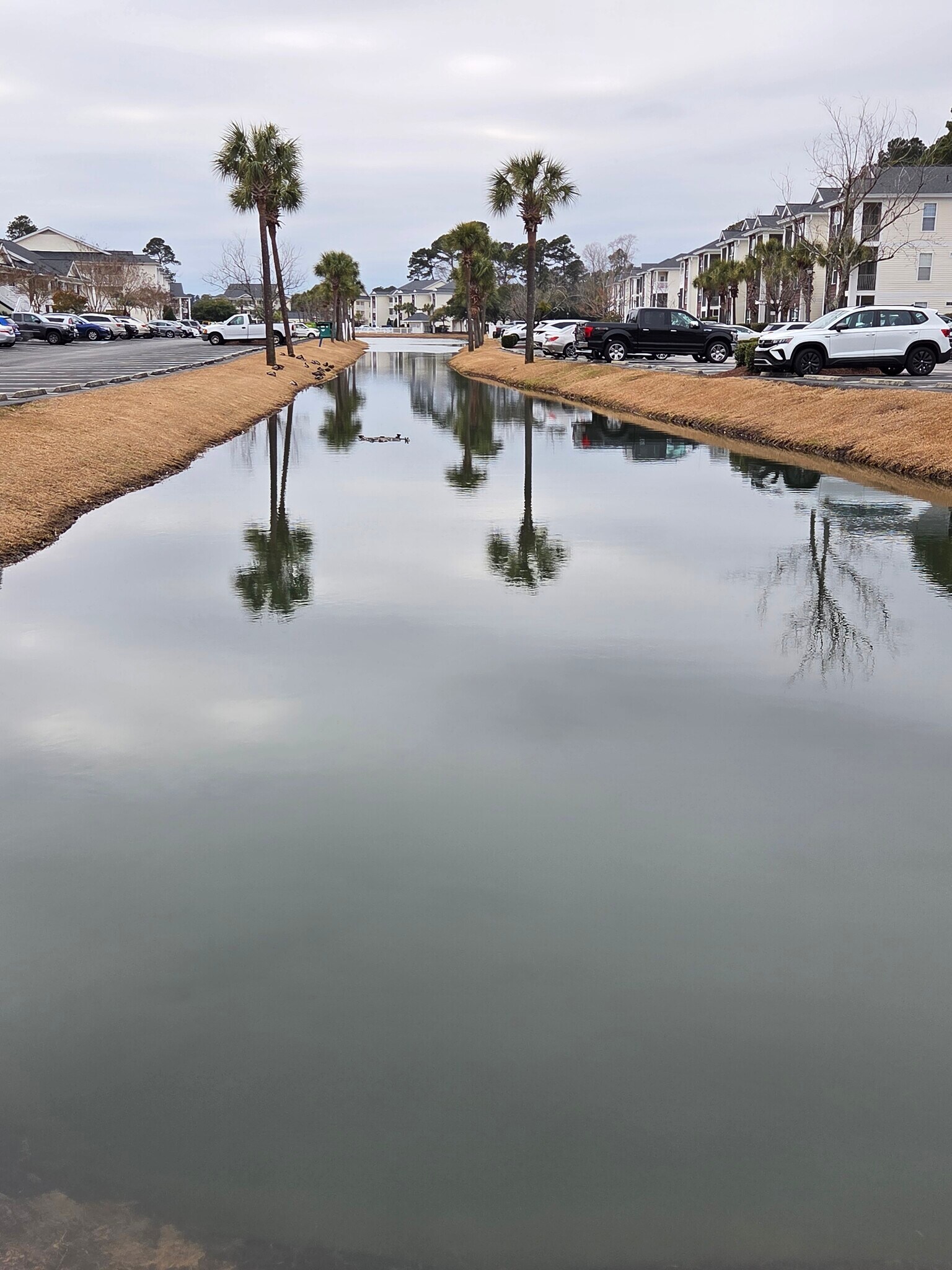 Building Photo - 1258 River Oaks Dr