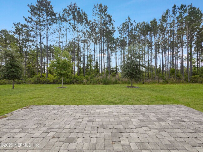 Building Photo - 597 Meadow Ridge Dr