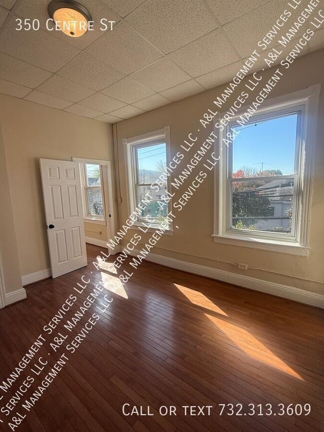 Primary Photo - 350 Centre St