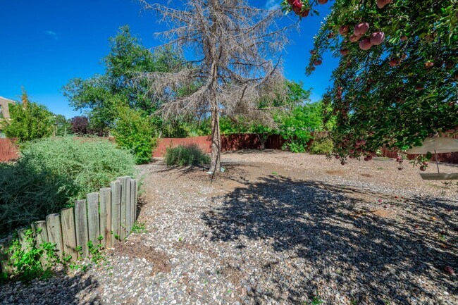 Building Photo - Vibrant Home Off Rodeo Rd.