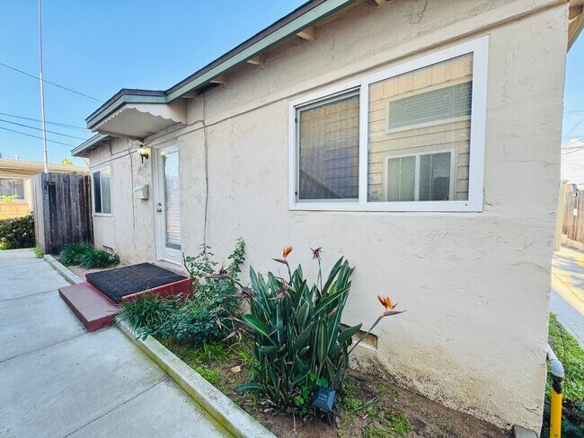 Building Photo - 1 BLOCK TO THE BEACH! COMPLETELY REMODELED 2BD/2BA OCEAN BEACH UNIT WITH TANDEM PARKING! $4,795/MO